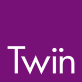 Логотип Twin Group